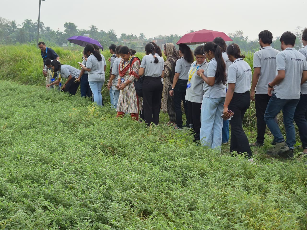 Agriculture Facility